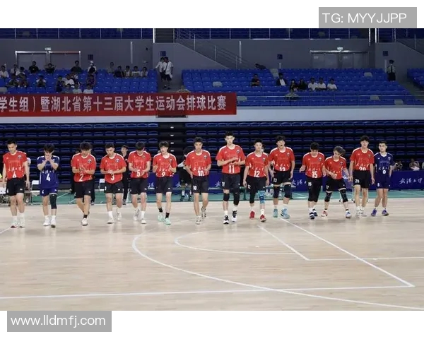 武汉排球队实力对比深度剖析与未来发展潜力探讨